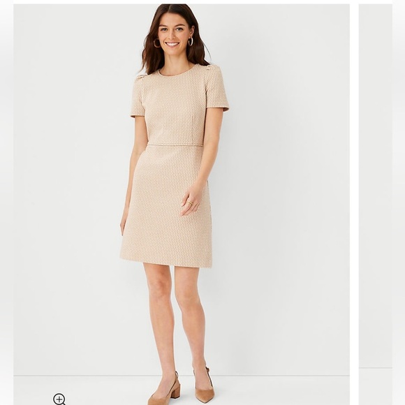 Ann Taylor Geo Flare Dress Whiskey Cream. Size 14T. - Picture 3 of 14